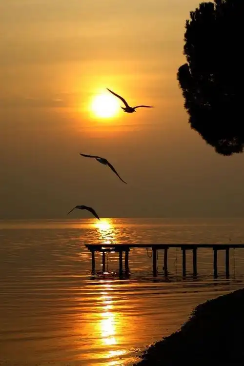 夕阳西下,余晖金黄,波光淋漓