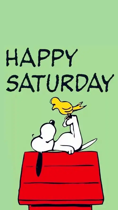 wallpaper wechat 微信背景 壁纸 锁屏 待机 主题 桌面 可爱 史努比