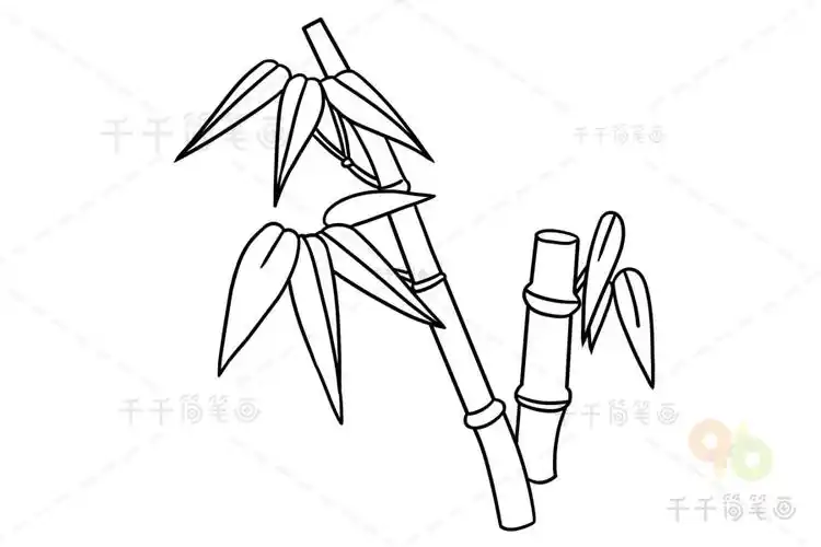 竹子简笔画 亲子画画_竹子简笔画