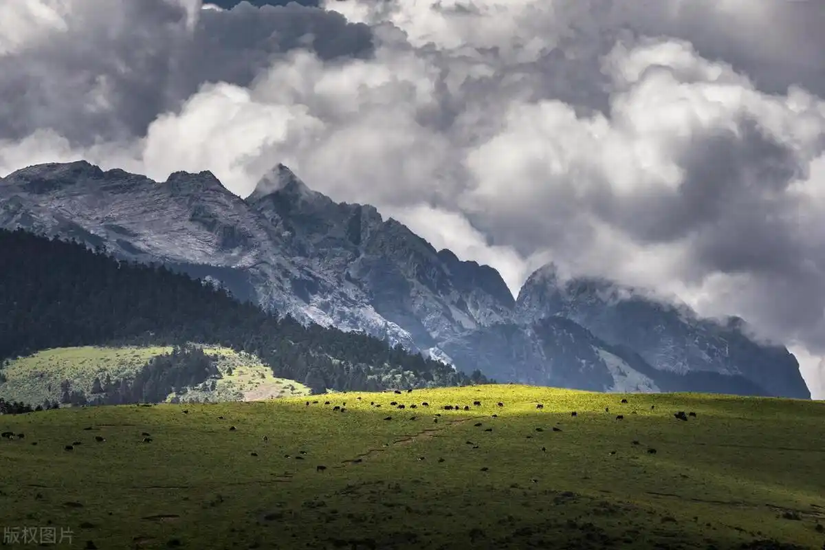 玉龙雪山游客最少的景点,牦牛坪  这里距离玉龙雪山游客中心几十公里