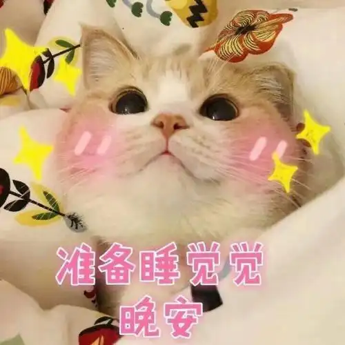 一波可爱猫星人表情包