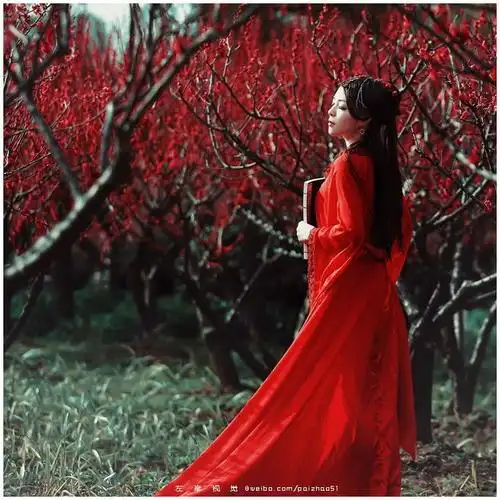 红颜情思〖唯美古典人物素材〗 - 军警草原狼 - 军警草原狼音画家园