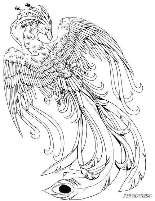 中国龙凤凰鹰画法