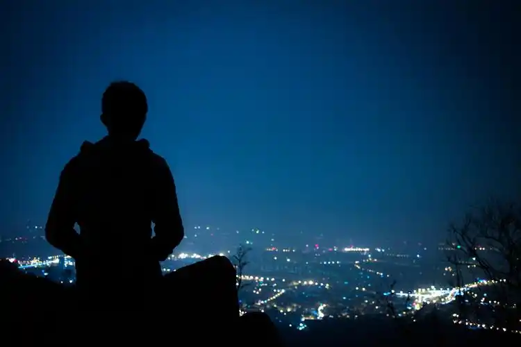 那天晚上决定要自己一个人爬上紫金山顶,7点多,天全黑了.