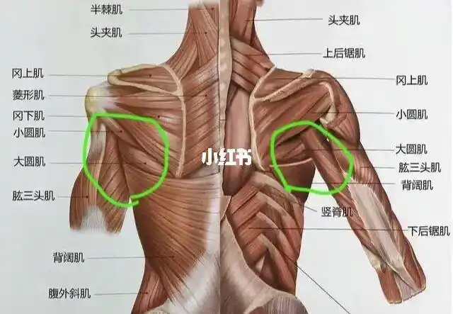 后背疼怎么缓解