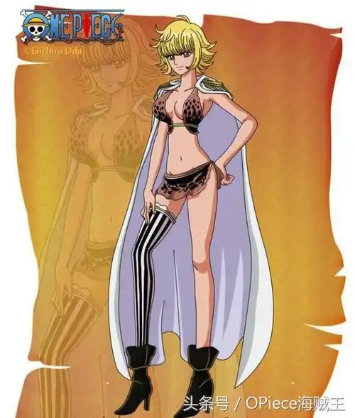 海贼王中的女性角色有哪些(海贼王中那些既)(5)