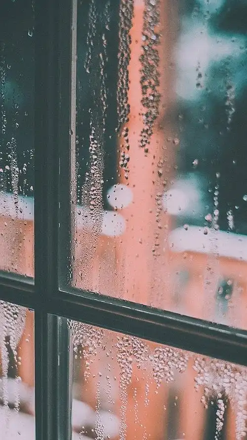 下雨后的窗玻璃唯美图片