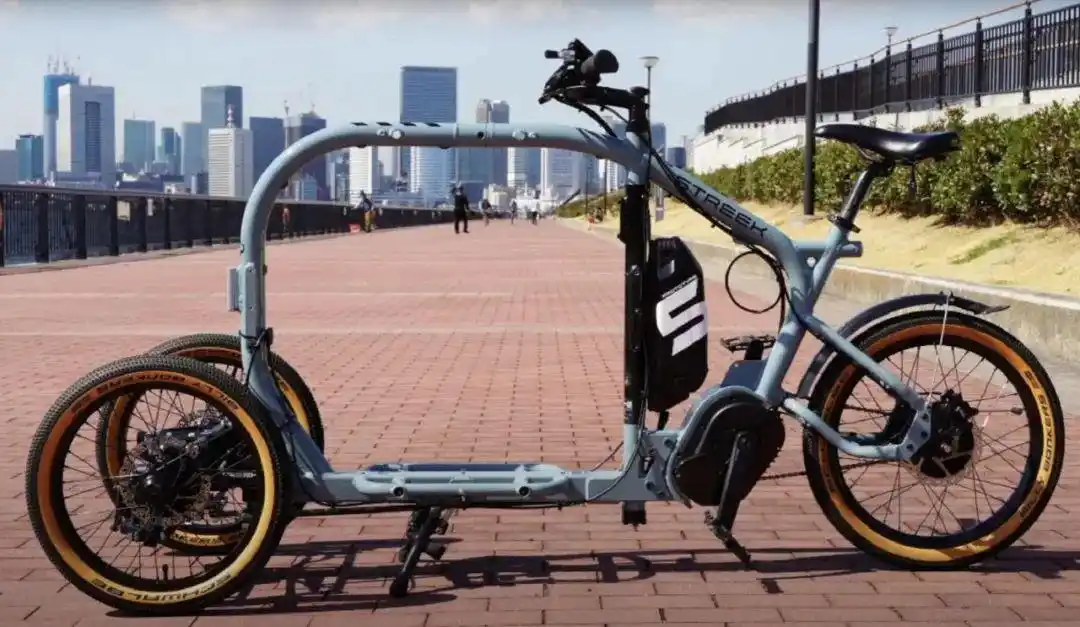 来自日本不一样的货运电动倒三轮