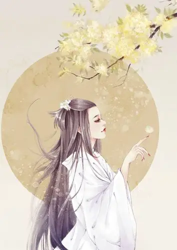 古风手绘美人
