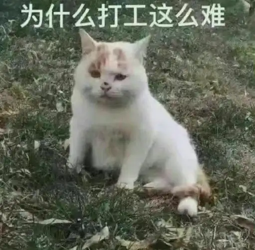 打工人表情包第14弹