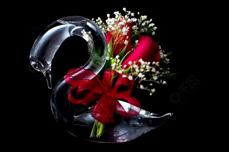 玻璃天鹅红玫瑰黑色背景中的小白花