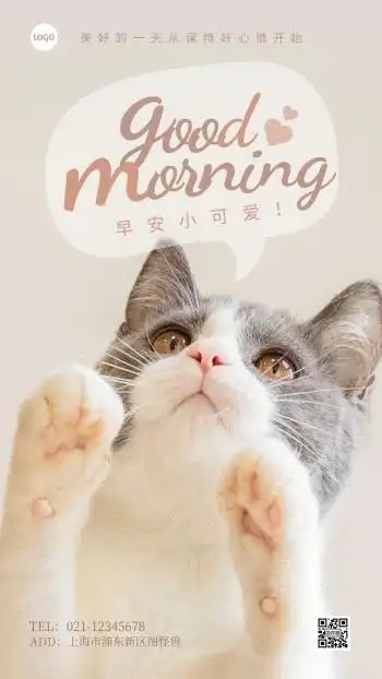 可爱早安问候猫咪动物摄影图海报