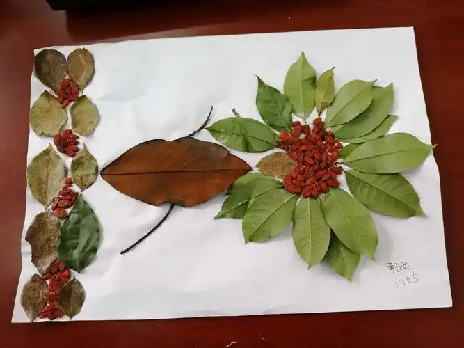 1705班社会实践活动——手工粘贴画