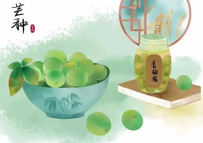 芒种至,仲夏始——北师大新标准实验幼儿园民俗小讲堂