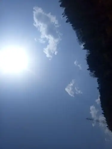 格子的夏天的美篇