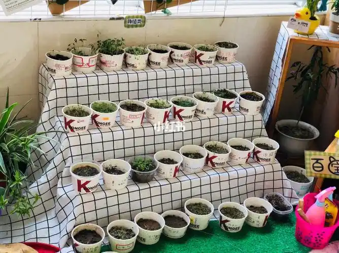 幼儿园环创植物自然角布置可收藏参考