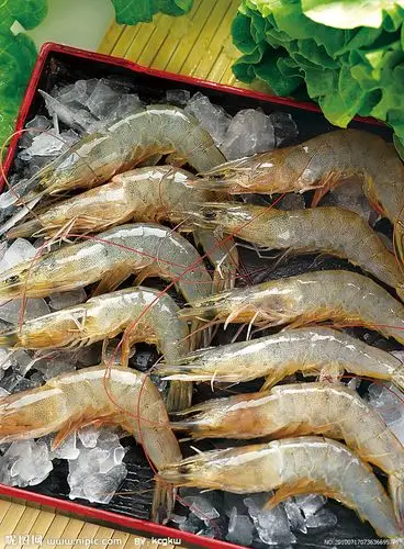 青虾捕捞的方法