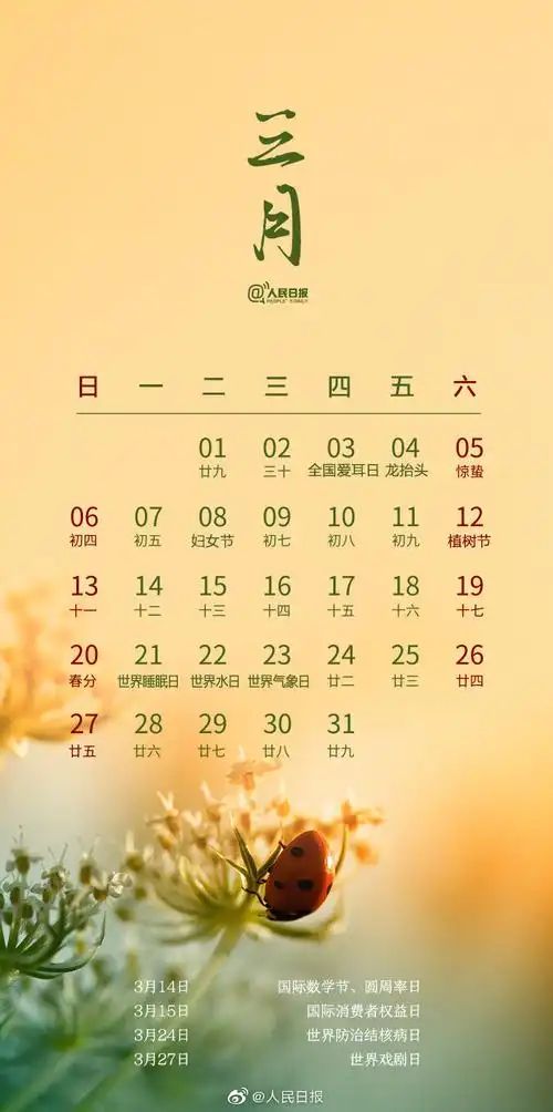 2022年日历全年表2022年日历表2022年日历一张图打印版