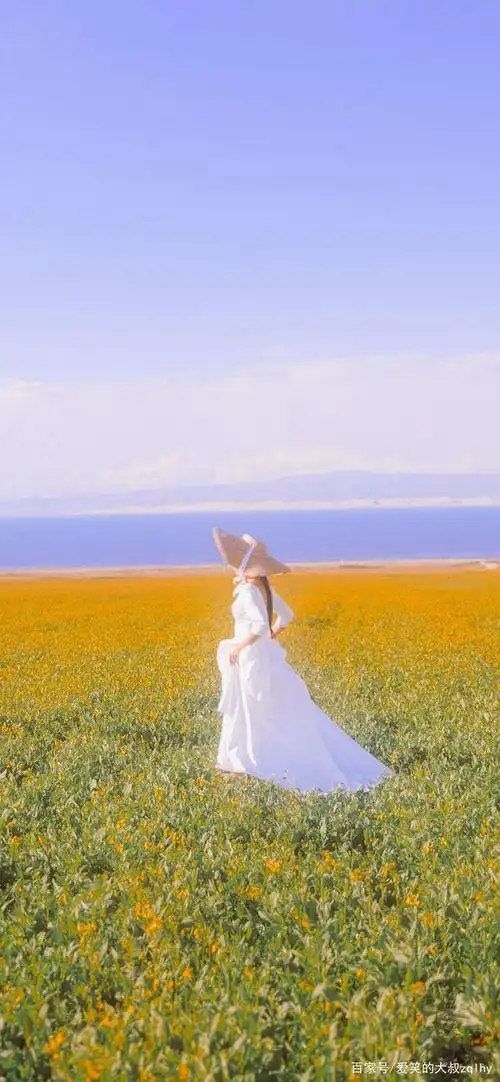 壁纸|绝美的少女