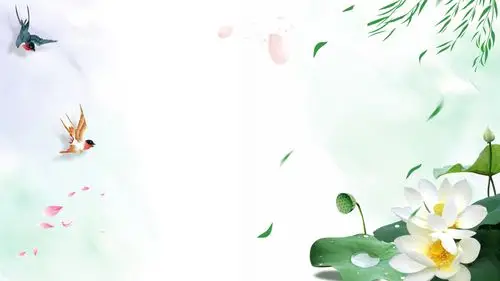 荷叶ppt专题合集-荷叶ppt模板下载-享学ppt