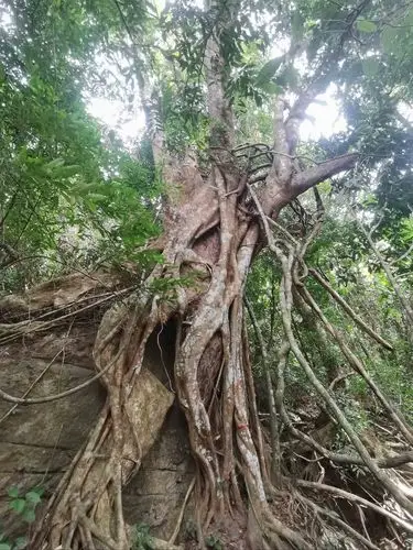 扎根路上,每一步都算数!