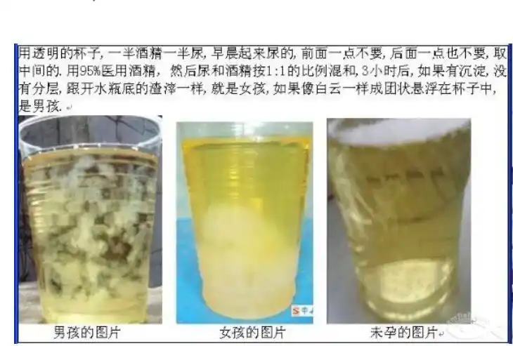 它们说晨尿加�的酒精1:1对比可以了看男女是吗?