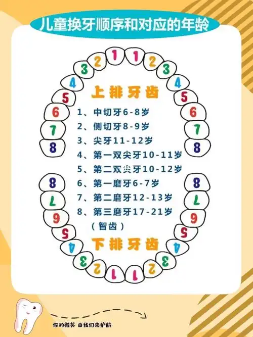 家长一定要懂的儿童换牙时间及顺序