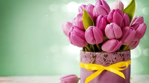 粉红色的郁金香花束花瓶缎带5k