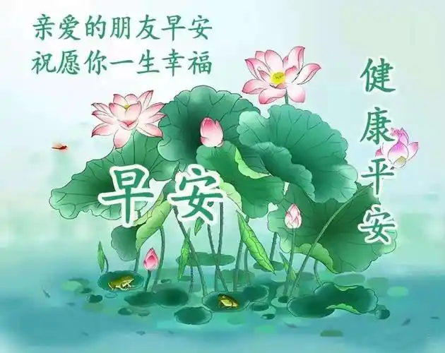 莲花朵朵开,好运跟着来!早安吉祥!