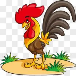 公鸡卡通