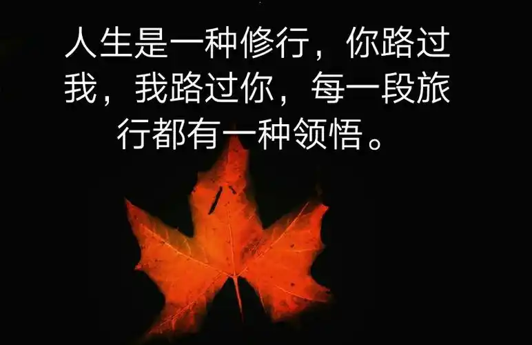 人生是一场修行,每一段修行都有一种领悟.