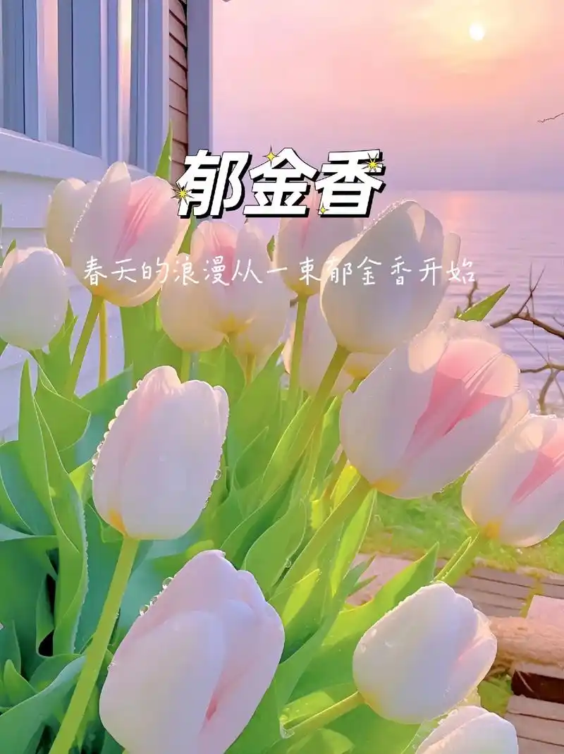 有一种花,叫郁金香,它的花语是:浪漫的故事没有结局