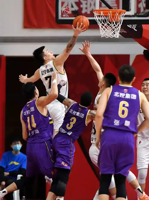 篮球——cba第四阶段:辽宁本钢对阵北京紫禁勇士