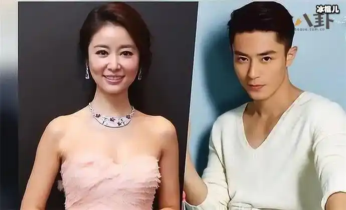 林心如霍建华婚变,女方回复:别多管闲事! - 明星 - 冰棍儿网