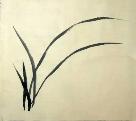 兰叶的画法