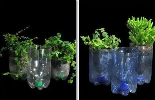 矿泉水瓶,动动手变废为宝,制作的美丽世界