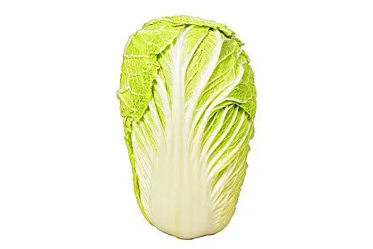 大白菜图片_大白菜图片大全_大白菜图片素材