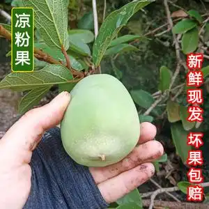 诸暨特产木莲豆腐木莲子木莲籽冰粉籽薜荔果籽凉粉籽爱玉子籽7人付款