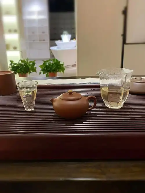 喝茶日记每天都要乖乖喝茶