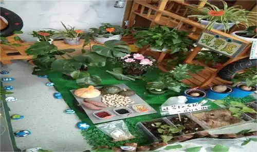 小小植物角,创意生态园——记恒大绿洲幼儿园自然角创设观摩之旅