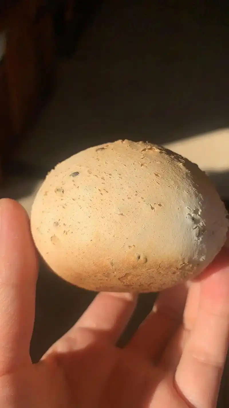 在家做好吃的麻薯恐龙蛋