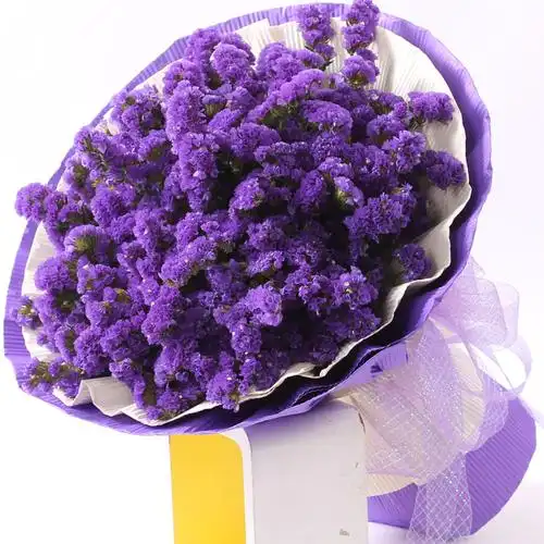 预订七夕勿忘我鲜花礼盒花束台湾香港澳门送朋友生日毕业同城花店