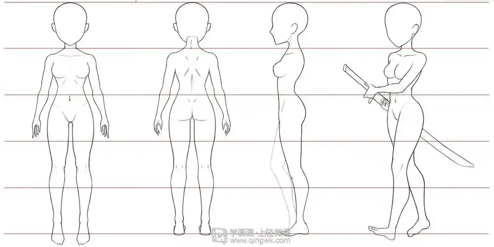 a                  5头身女性女性q版人体三视图