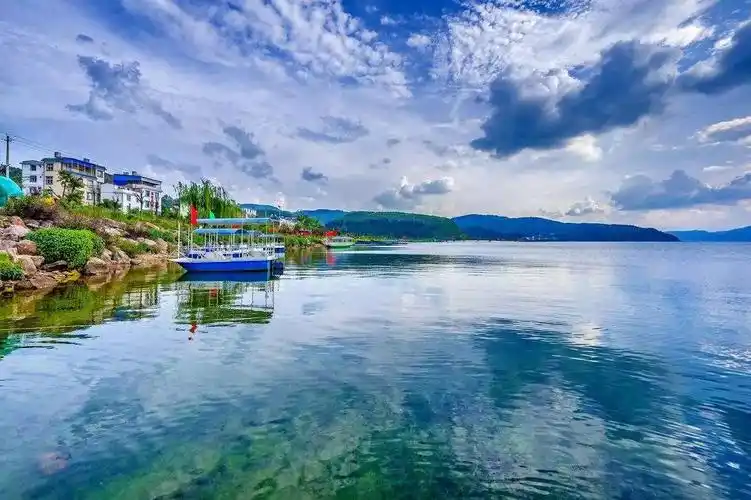 带上弹弓到湿地公园打鸟去