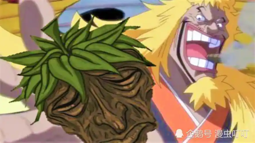5大最强断脚士,1人吃下神级果实,1人堪称最强凡人|断脚|金狮子|海贼王