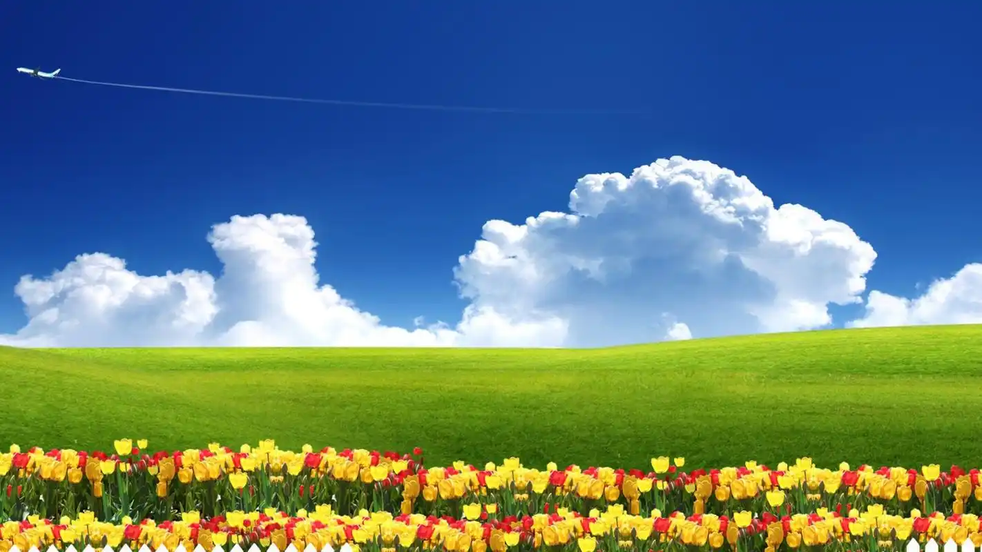 唯美蓝天白云绿草地桌面壁纸下载