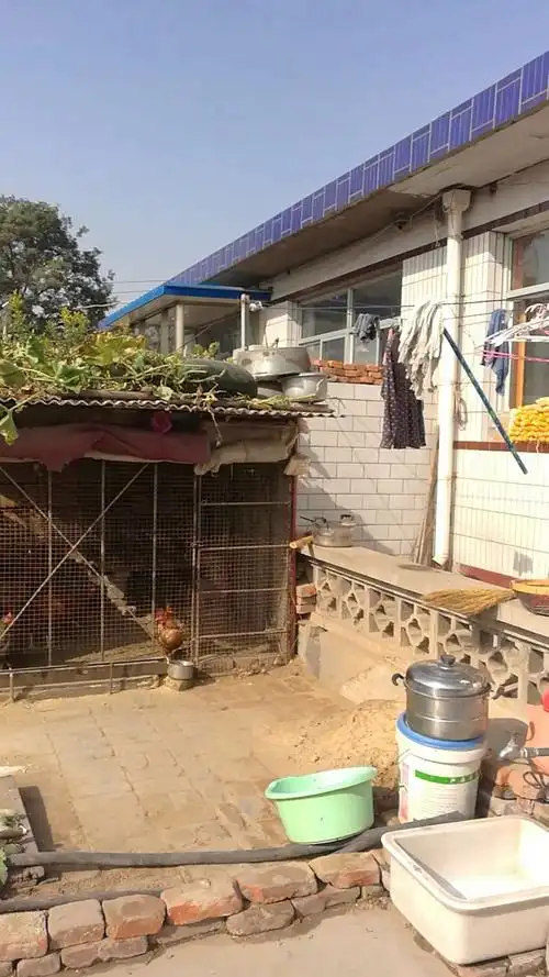宝姥姥家的鸡舍,干干净净.