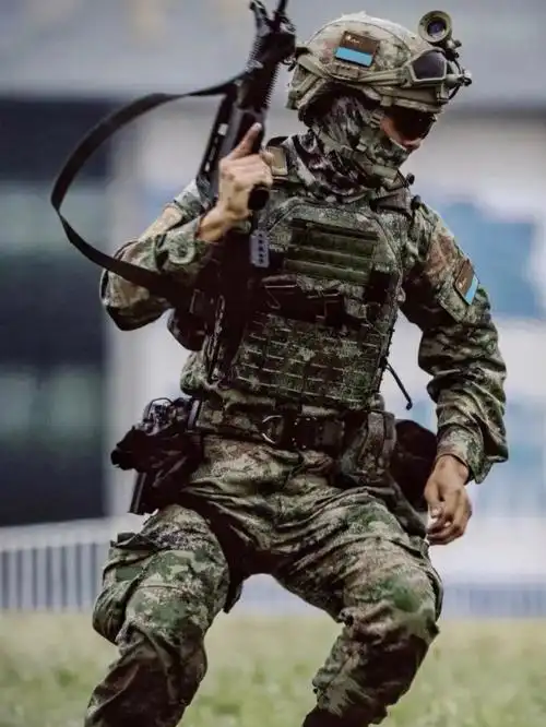 pla中国人民解放军