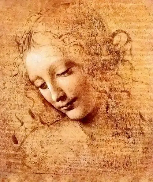 达芬奇的完美艺术世界陷入危机,该如何应对?