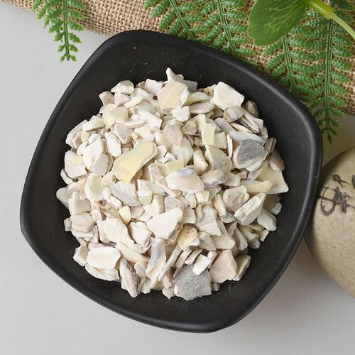 蛤壳蛤蜊中药材磨粉煅蛤文蛤500g包邮其他药食同源食品